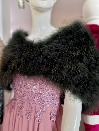 CAPA DE PLUMAS EMPERATRIZ 2